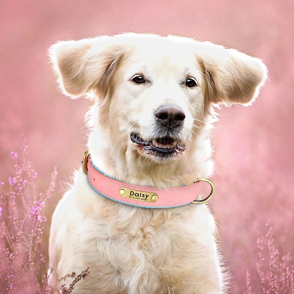 Customized PU Leather Nameplate Dog Collar.