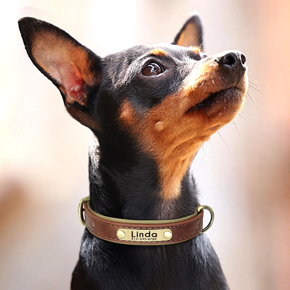 Customized PU Leather Nameplate Dog Collar.