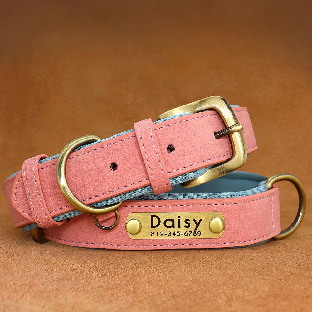 Customized PU Leather Nameplate Dog Collar.