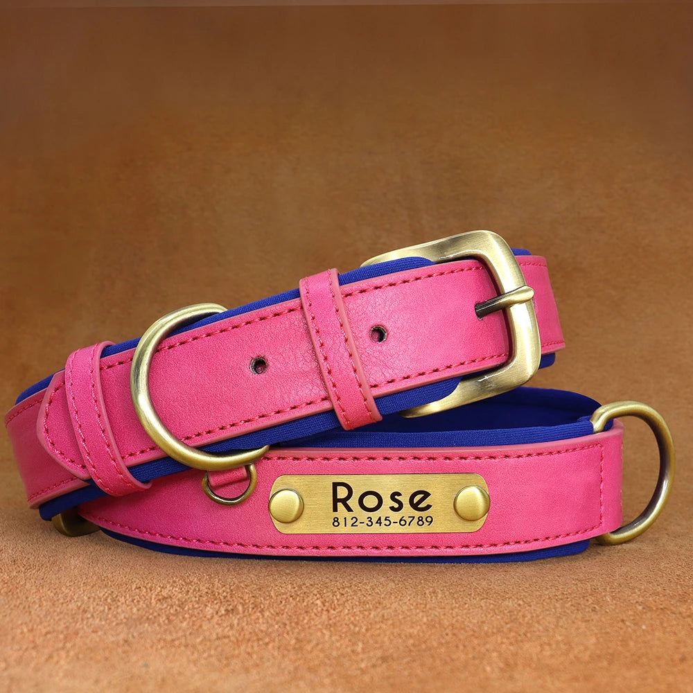 Customized PU Leather Nameplate Dog Collar.