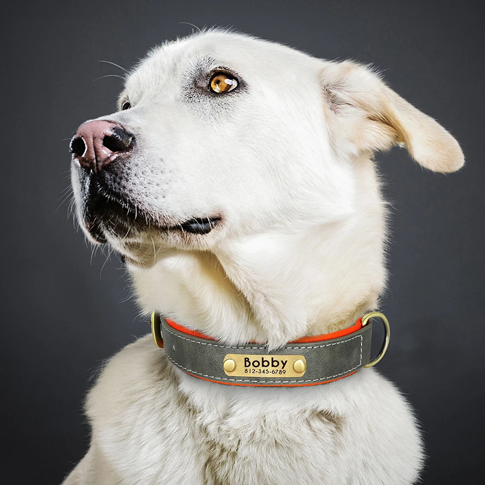 Customized PU Leather Nameplate Dog Collar.